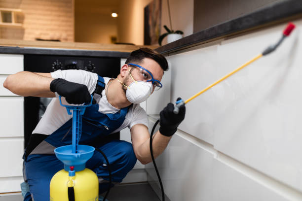 Best Mosquito Control Services  in Shiprock, NM