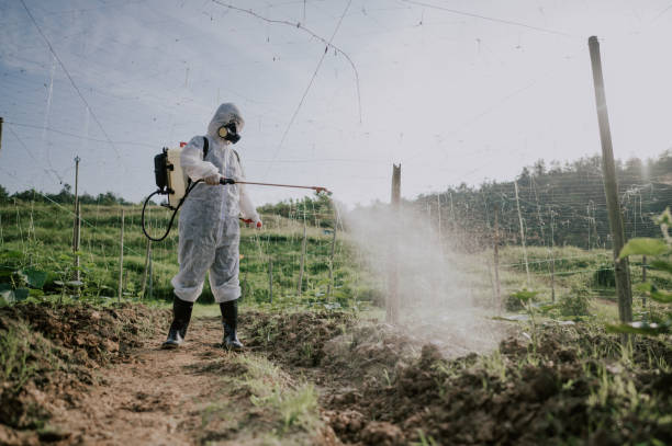 Best Pest Prevention Services  in Shiprock, NM
