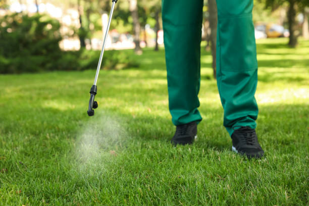 Professional Pest Control in Shiprock, NM