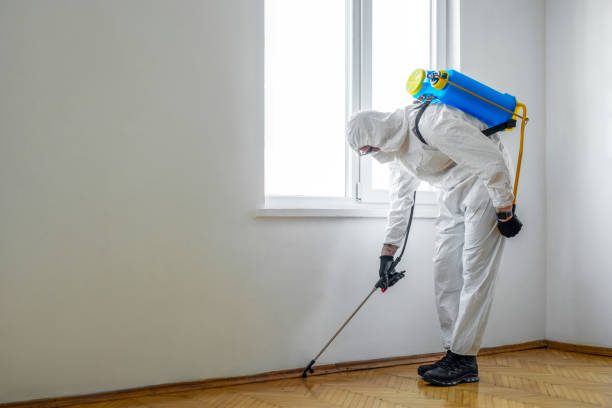 Shiprock, NM Pest Control Company