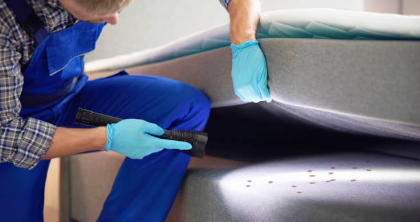 Best Residential Pest Control  in Shiprock, NM