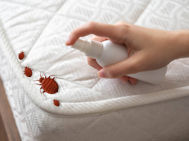 Best Best Pest Control Companies  in Shiprock, NM