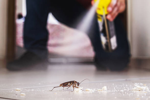 Best Pest Control Near Me in Shiprock, NM