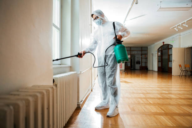Best Best Pest Control Companies  in Shiprock, NM