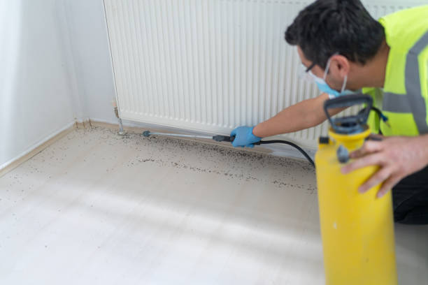 Best Pest Inspection Near Me  in Shiprock, NM